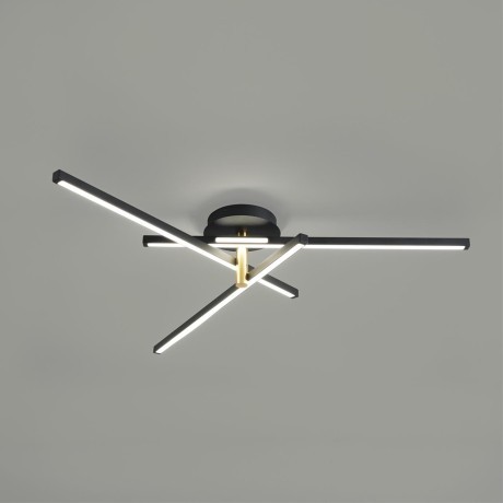 Потолочный светильник LUMION PARKER 6547/56CL