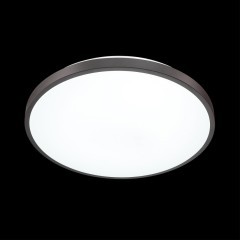 Настенно-потолочный светильник Sonex 3012/DL SMALLI IP43 светодиодный LED 48W