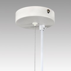 Светильник подвесной LED 220V Lumion TORINA 8265/7